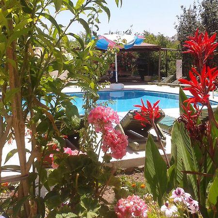 Paradise Garden Gumusluk Evleri Aparthotel Esterno foto