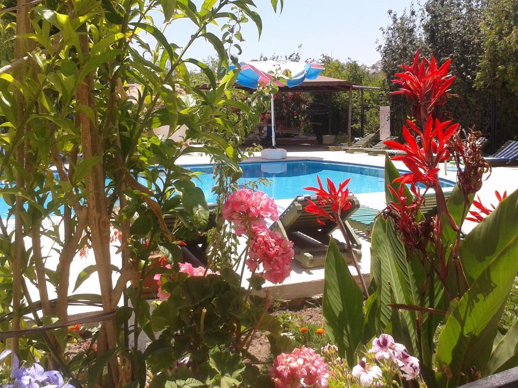 Paradise Garden Gumusluk Evleri Aparthotel Esterno foto